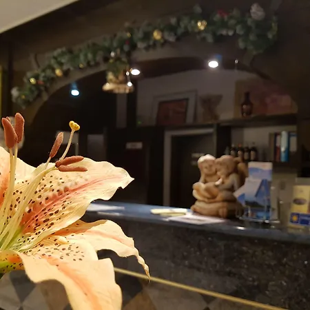 Zur Engelsburg Hotel 3*