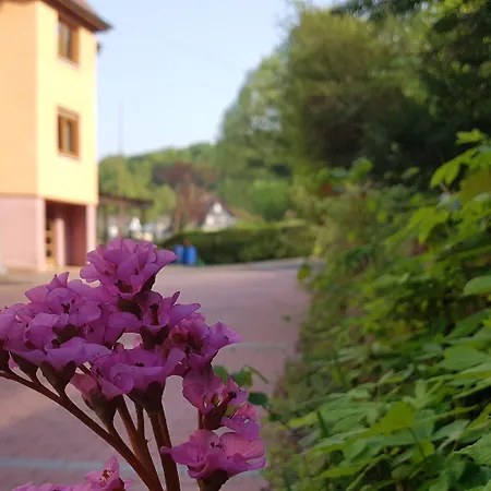 Zur Engelsburg Hotel 3*