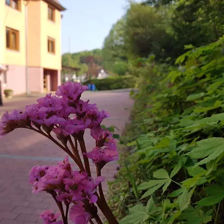 Zur Engelsburg Hausen-Wied