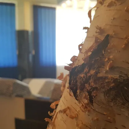 Zur Engelsburg Hotel 3*