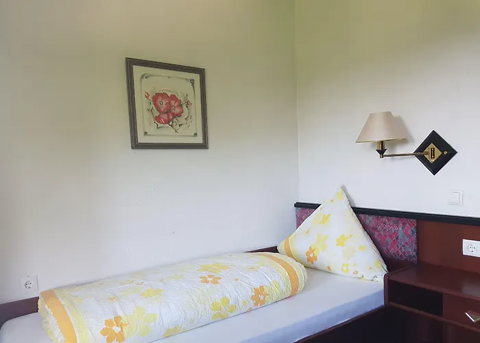 מלון Zur Engelsburg 3*