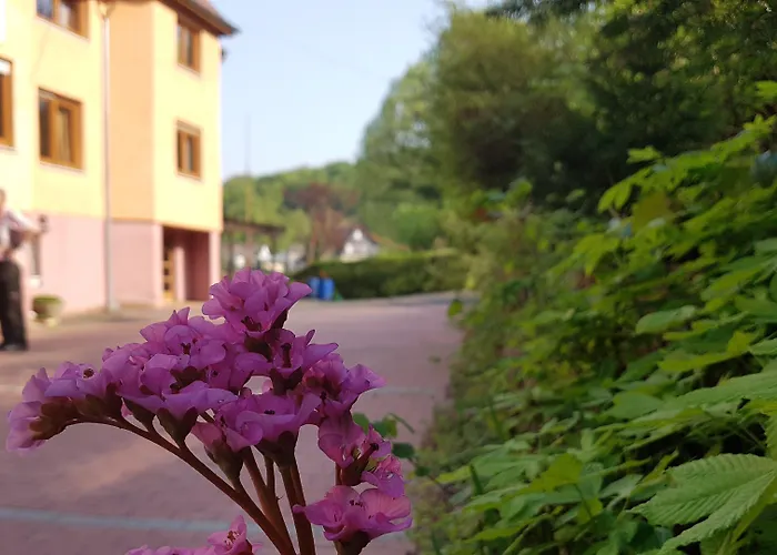 Zur Engelsburg מלון 3*