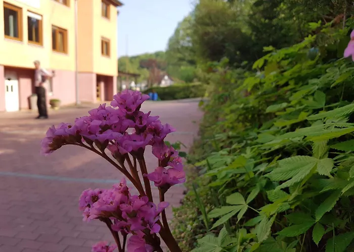 Zur Engelsburg Hausen-Wied