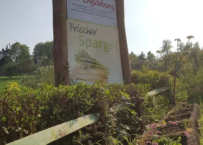 Zur Engelsburg מלון 3*