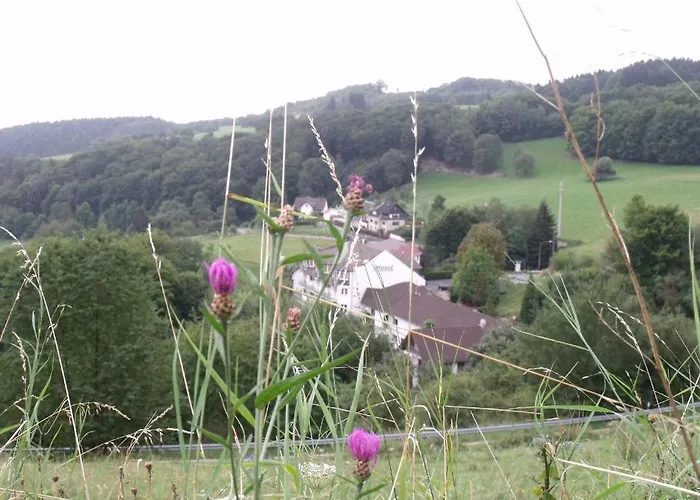 Zur Engelsburg 3* Hausen-Wied