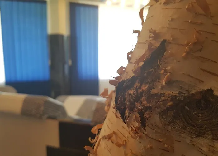 Zur Engelsburg מלון 3*